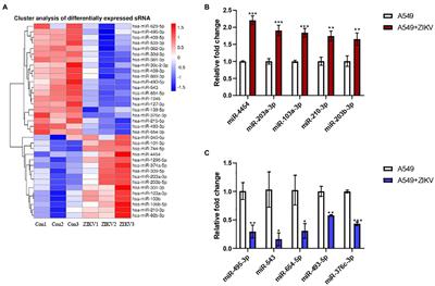 MiR-103a-3p Promotes Zika Virus Replication by Targeting OTU Deubiquitinase 4 to Activate p38 Mitogen-Activated Protein Kinase Signaling Pathway